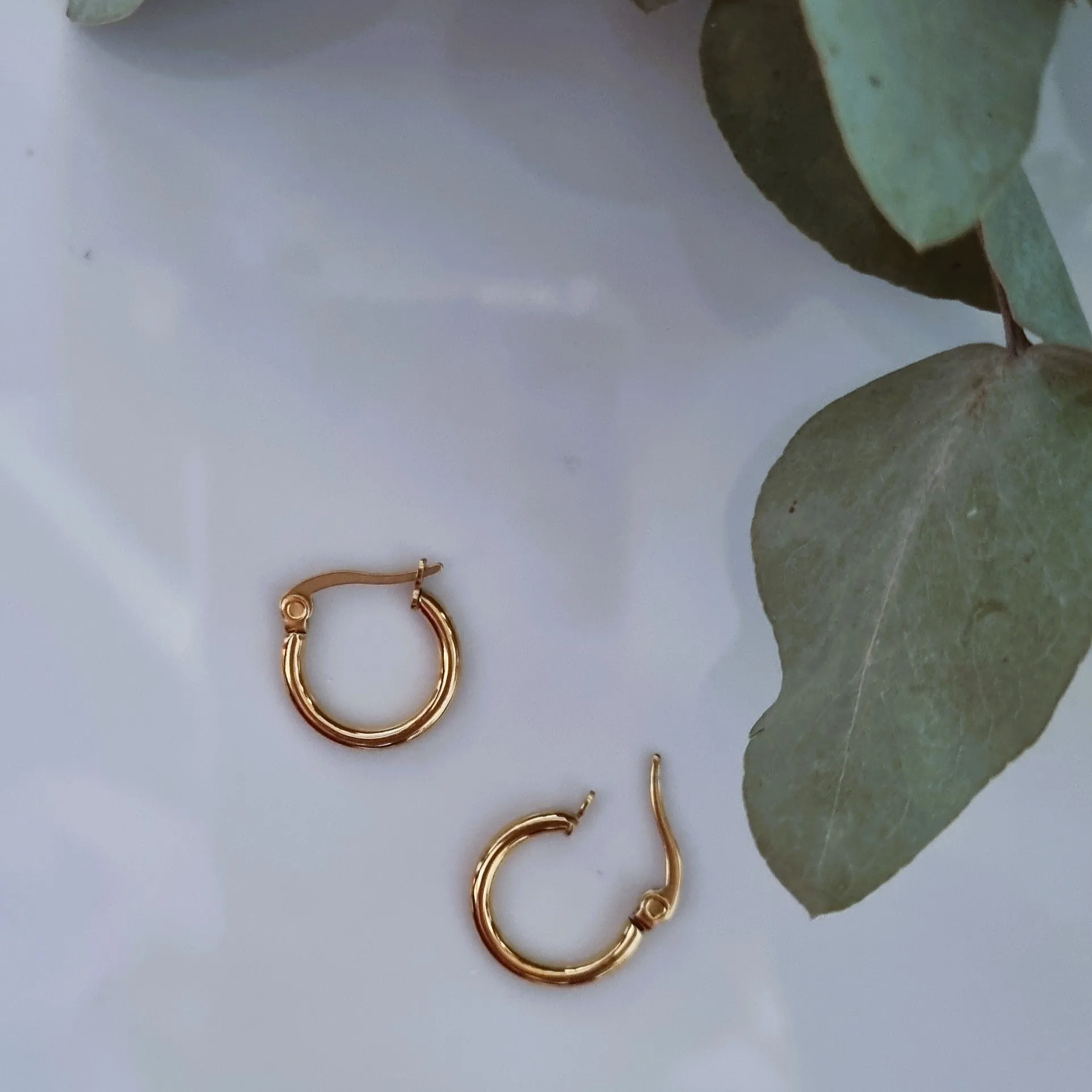 Hoops 2mm gold (6 options)